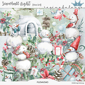 SNOWBALL FIGHT KIT