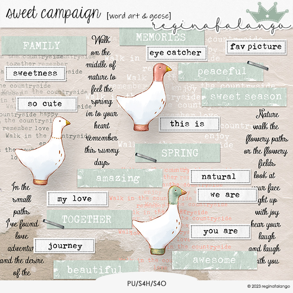 SWEET CAMPAIGN WORD ART & GEESE