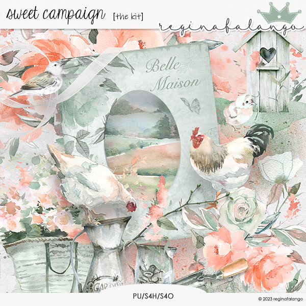 SWEET CAMPAIGN THE KIT