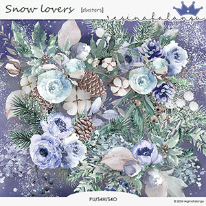 SNOW LOVERS CLUSTERS