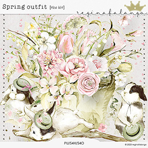 SPRING OUTFIT THE KIT