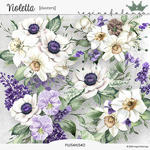 VIOLETTA CLUSTERS