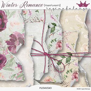 WINTER ROMANCE RIPPED PAPERS