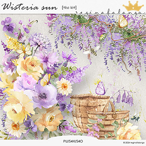 WISTERIA SUN THE KIT