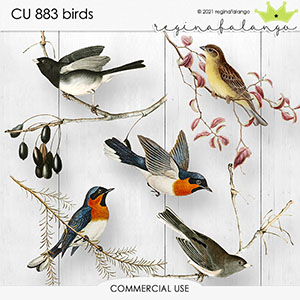 CU 883 BIRDS 