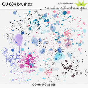 CU 884 BRUSHES 