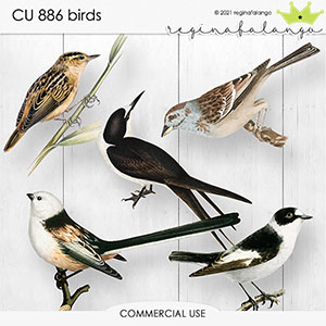 CU 886 BIRDS