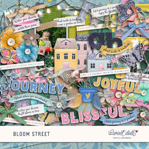 Bloom Street Embellishments by Sweet Doll