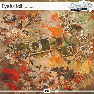 Eyeful Fall (accents) by Simplette