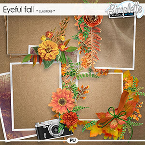 Eyeful Fall (clusters) by Simplette