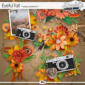 Eyeful Fall (embellishments) by Simplette