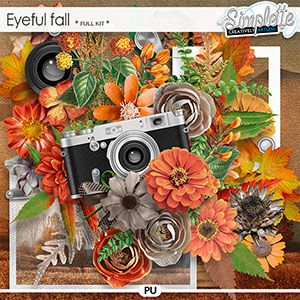 Eyeful Fall (full kit) by Simplette