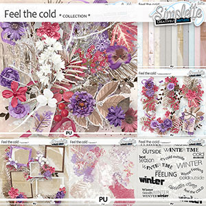Feel the Cold (collection) by Simplette