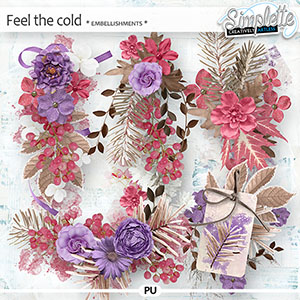 Feel the Cold (embellishments) by Simplette