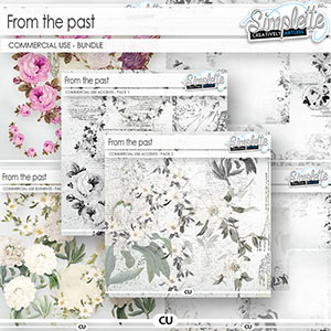 From the Past - BUNDLE (CU elements)