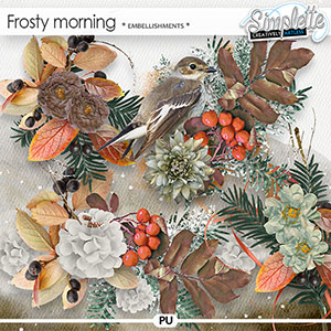 Frosty Morning (embellishmnents) by Simplette | Oscraps