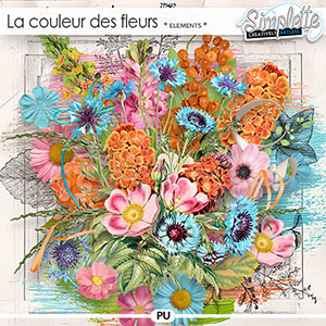 La couleur des Fleurs (elements) by Simplette | Oscraps