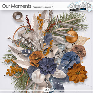 Our Moments (elements - pack 2) by Simplette