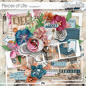 Pieces of Life (elements) by Simplette | Oscraps
