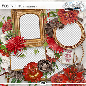 Positive Ties (clusters) by Simplette