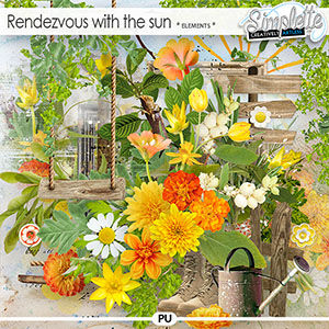 Rendezvous with the sun (elements) by Simplette