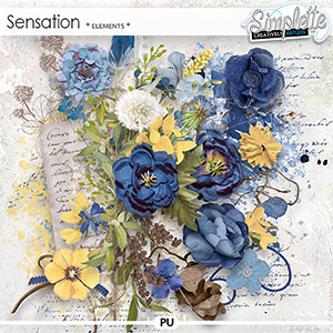 Sensation (elements) by Simplette
