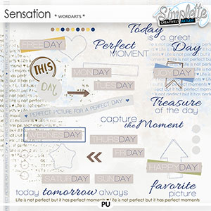Sensation (wordarts) by Simplette