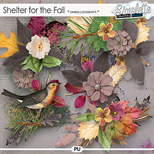 Shelter for the fall (embellishments) by Simplette | Oscraps