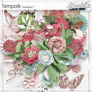Temporis (elements) by Simplette | Oscraps
