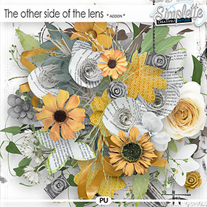 The other side of the lens (addon) by Simplette