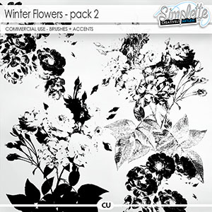 Winter Flowers (CU brushes + accents) pack 2