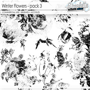 Winter Flowers (CU brushes + accents) pack 3