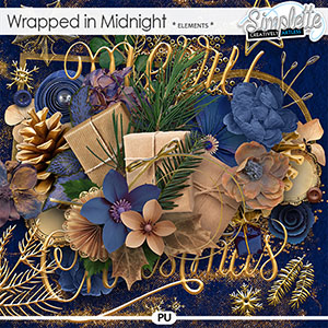 Wrapped in Midnight (elements) by Simplette