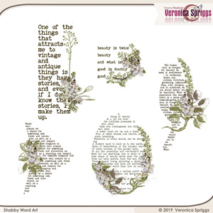 Shabby Chicness  Word Art