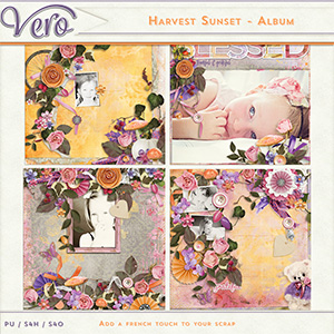 Harvest Sunset Album by Vero