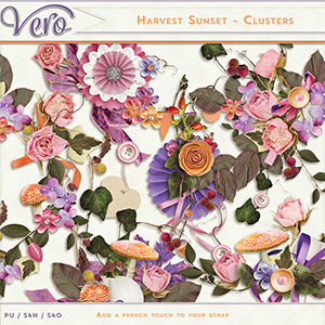Harvest Sunset Clusters by Vero