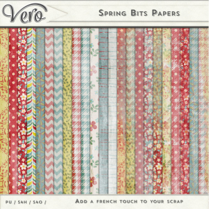 Spring Bits Patterned Papers by Vero