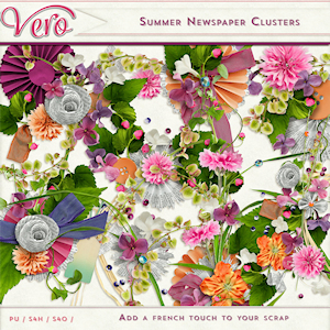 Summer Newspaper Clusters by Vero