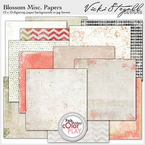 Blossom Miscellaneous Papers