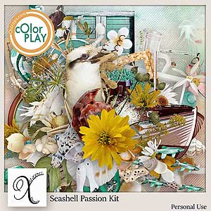 Seashell Passion Kit