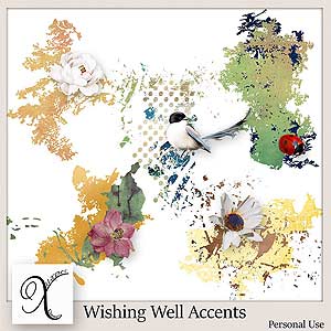 Wishing Well Accents
