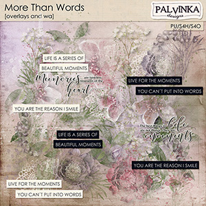 More Than Words Overlays and WA