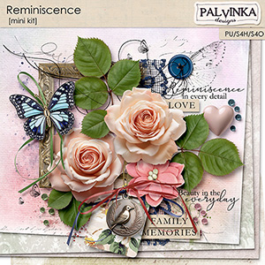 Reminiscence Kit
