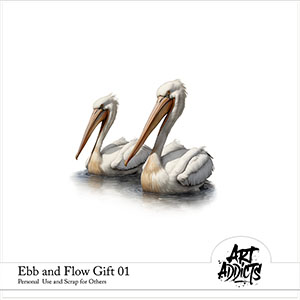 Ebb and Flow Gift 01