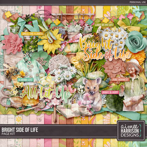 Bright Side of Life Page Kit by Aimee Harrison