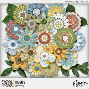 Daisies Blooms by Aimee Harrison