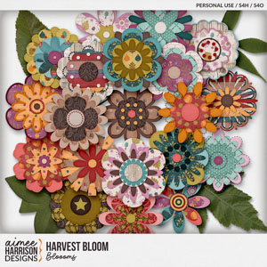 Harvest Bloom Blooms by Aimee Harrison