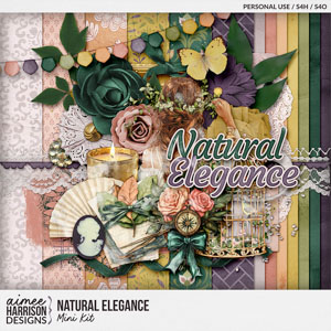 Natural Elegance Mini Kit by Aimee Harrison