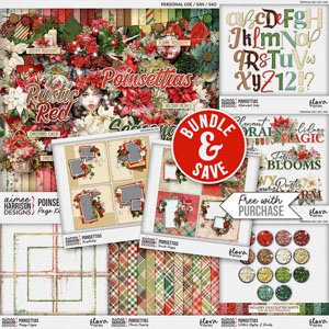 Poinsettias Collection by Aimee Harrison