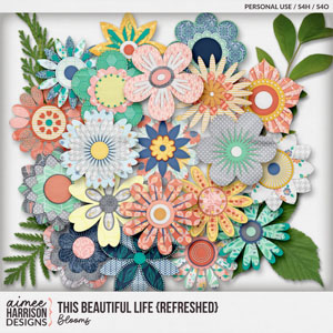 This Beautiful Life {refreshed} Blooms by Aimee Harrison